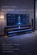 The Aria Vision™ Console